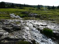 Wanderung Brückele - Rossalm - Plätzwiese - Pragser Wildsee