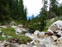 Wanderung Brückele - Rossalm - Plätzwiese - Pragser Wildsee