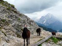 Langkofel - Plattkofelumrundung