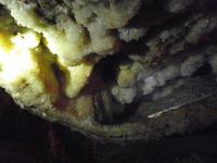 Grotte Han-Sur-Lesse