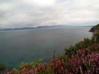 Blick zur Dingle Halbinsel