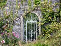 Im walled Garden auf Ilnacullin