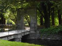 Park in Cong