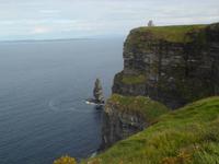 Felsnadel an den Cliffs of Mohair