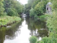 An der Liffey in Leixlip