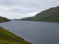 Killary Harbour