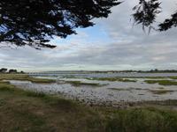Langstone Hayland Island