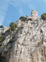 Cassis