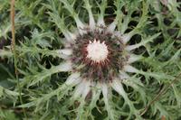 Wanderung auf der Schwägalp