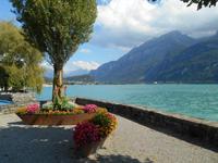 Brienz