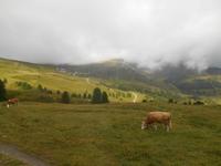 Fahrt mit der Wengernalpbahn von Grindelwald zur Kleinen Scheidegg
