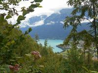 Blick auf den Brienzer See