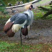 Vogelpark Walsrode