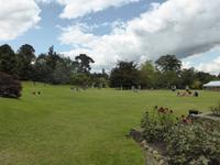 Hever Castle