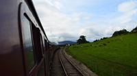 149 Strathspey Railway, Broomhill
