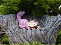 Alice's Curious Labyrinth