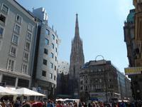 Wien - Stephansdom vom 