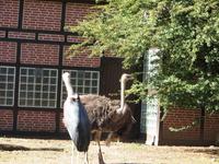 Im Vogelpark Walsrode 