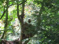 Im Vogelpark Walsrode 