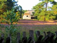 Schäferhof bei Neuenkirchen