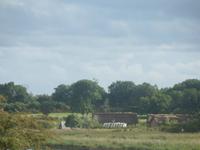 Nord-Ostsee Radtour 2014 092/ Wikingerdorf Haitabu