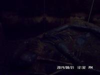 Nord-Ostsee Radtour 2014 273