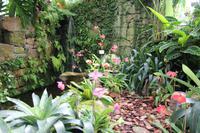 Eric Young Orchideen Farm