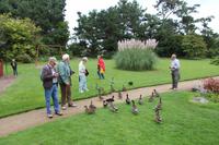 Im Park von Samares Manor 