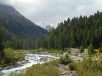 Fahrt mit dem Bernina-Express