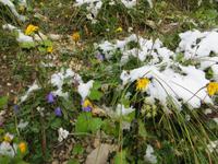 Wintereinbruch an den Drei Zinnen