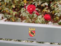 Besondere Rosen aus Bern