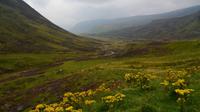 174 Glen Shee