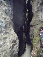 In der Aareschlucht