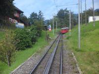 Rigibahn