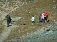 Einige Gäste wandern zurück