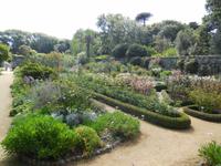 Sarker Gartenpracht