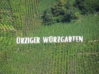 DSCN4751 - Weinbergsbezeichnung an der Mosel