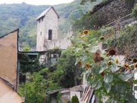 DSCN4777 - Cochem, unterhalb vom KapuzinerKloster