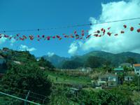Madeira, Fahrt zur Nordküste