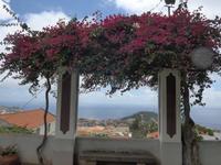 Madeira, Blick vom Weingut in Estreito da Camara de Lobos