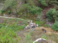 Madeira,  Levada-Wanderung
