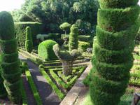 Madeira, Funchal, Botanischer Garten