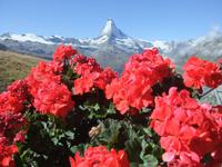 Blick zum Matterhorn