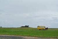 Hallig Hooge