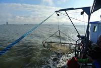 Kutterfahrt in Büsum