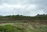 Insel Sylt