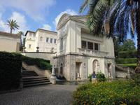 Vatikanische_Gärten (2)