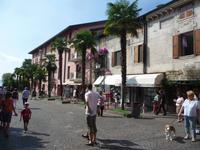 ... auch an Palmen mangelt es nicht ...