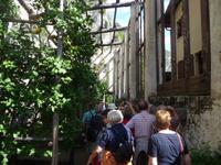 ... Rundgang durch die Limonaia ...