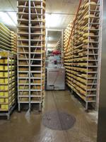 St.-Imier, Käserei Spielhofer